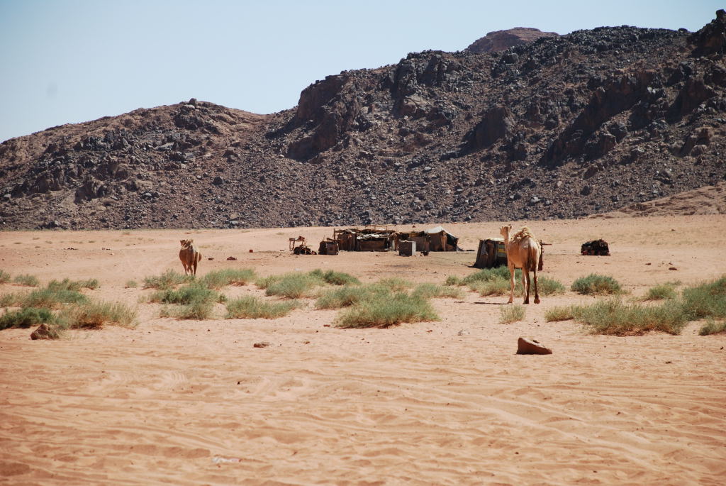 Wadi Rum